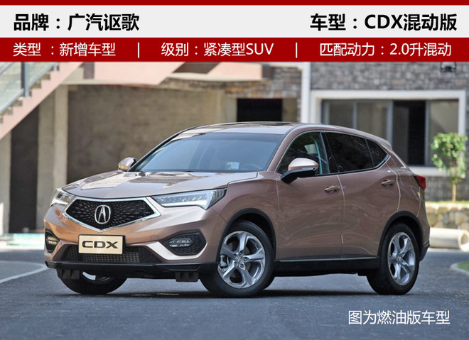 �³����³�,SUV